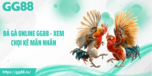 Đá Gà Online GG88 - Xem Chọi Kê Mãn Nhãn Ngay Tại Nhà