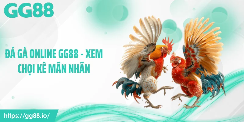Đá Gà Online GG88 - Xem Chọi Kê Mãn Nhãn Ngay Tại Nhà