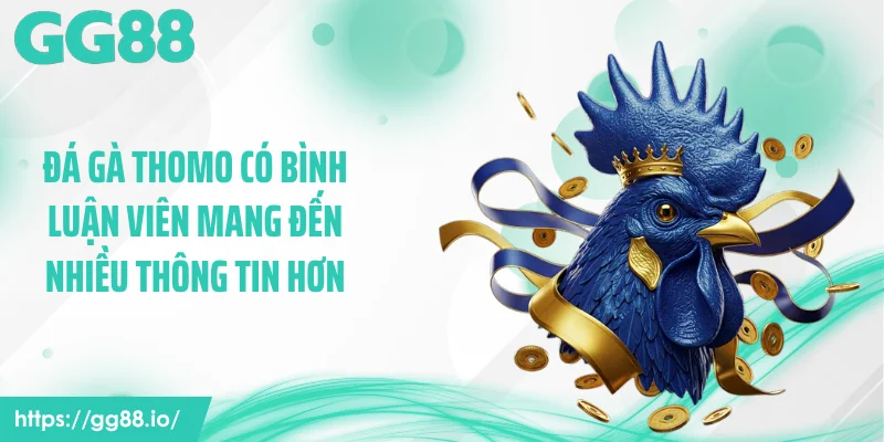 Đá gà Thomo có bình luận viên mang đến nhiều thông tin hơn