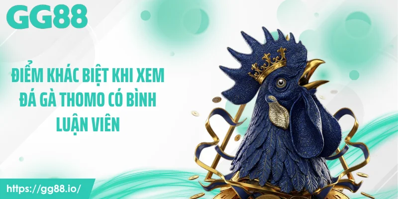Điểm khác biệt khi xem đá gà Thomo có bình luận viên