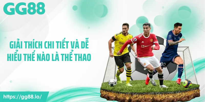 Giải thích chi tiết và dễ hiểu thế nào là thể thao