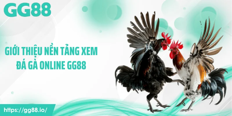 Giới thiệu nền tảng xem đá gà online GG88