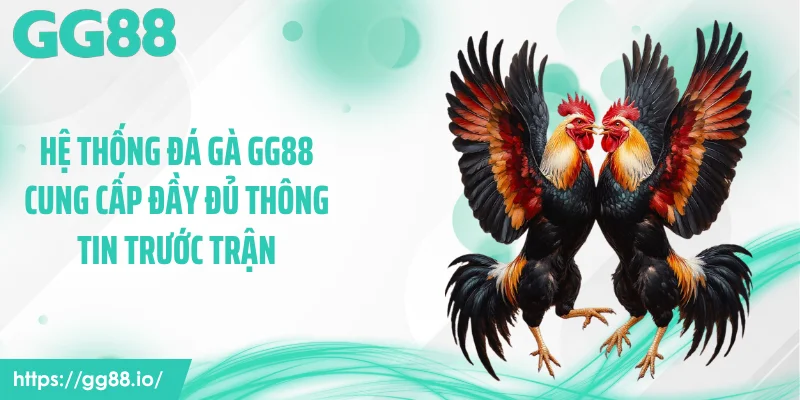 Hệ thống đá gà GG88 cung cấp đầy đủ thông tin trước trận