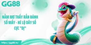 Nằm Mơ Thấy Rắn Đánh Số Mấy - Hé Lộ Dãy Số Cực "Dị"
