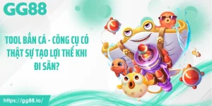 Tool Bắn Cá - Công Cụ Có Thật Sự Tạo Lợi Thế Khi Đi Săn?